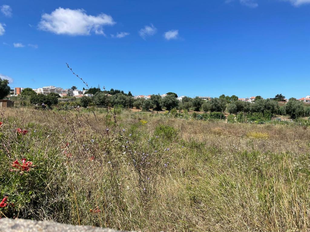 Lote (n.13) de Terreno para construção de moradia em Quinta do Texugo, em Sesimbra - Image 1