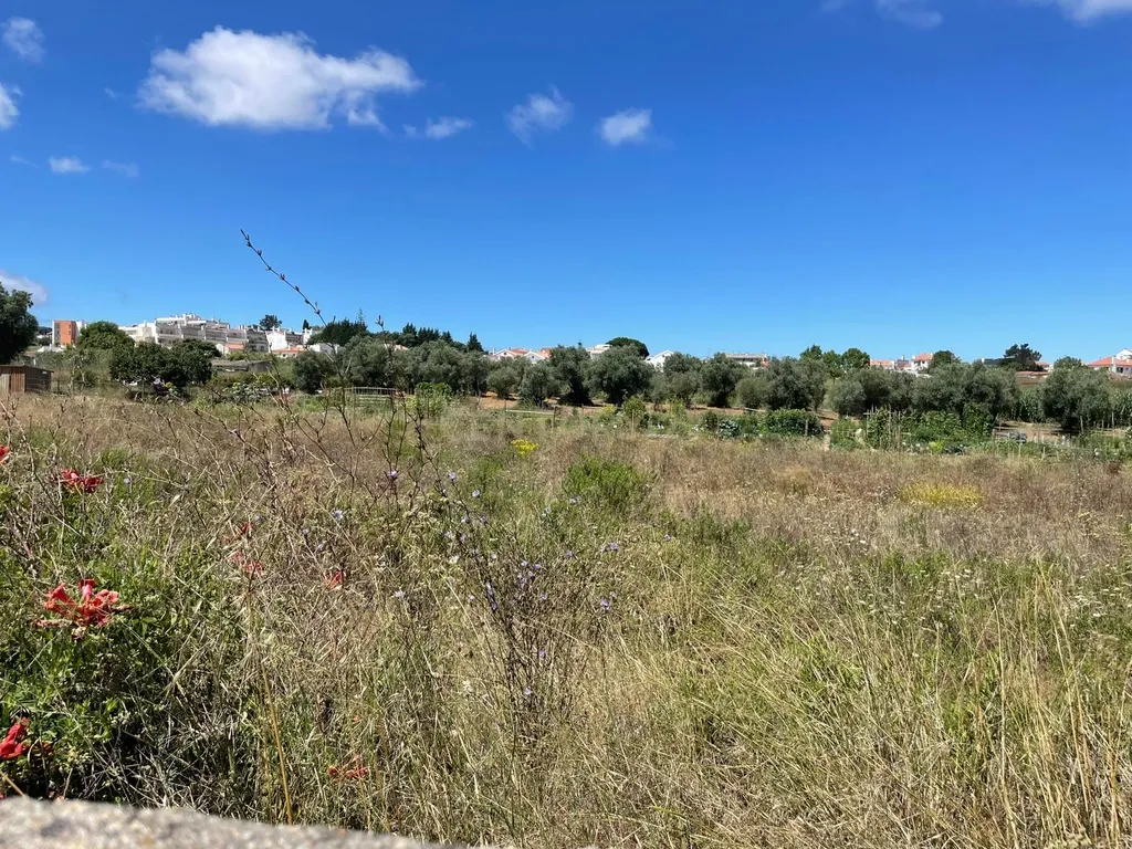 Lote (n.18) de Terreno para construção de moradia em Quinta do Texugo, em Sesimbra - Image 7