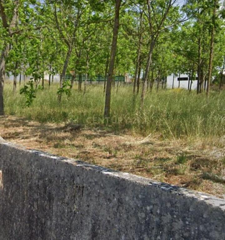 Terreno || Construção || Castanheira || Alcobaça - Image 13