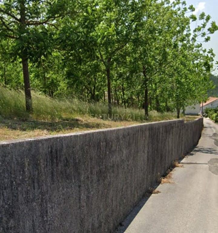 Terreno || Construção || Castanheira || Alcobaça - Image 11