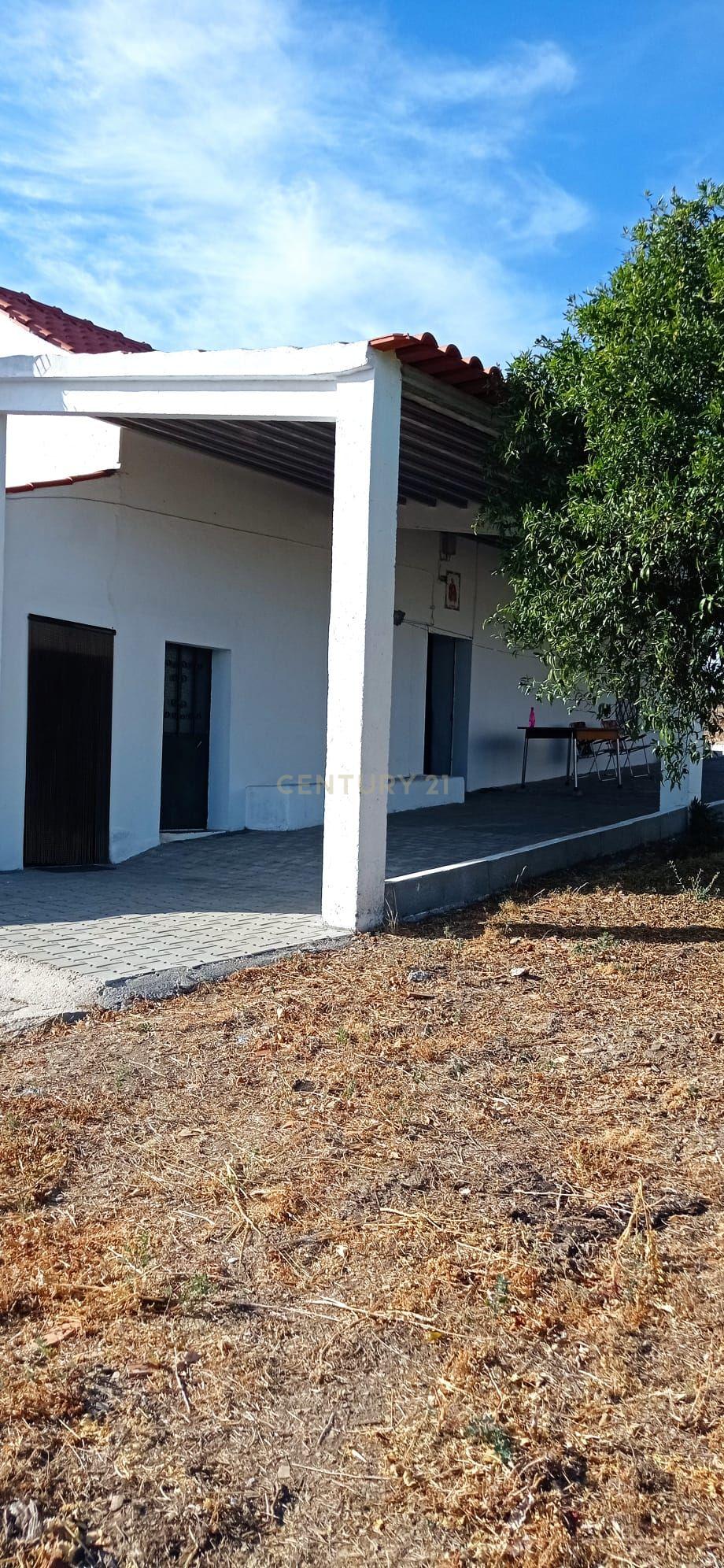 Moradia com terreno em Santo André das Tojeiras, Castelo Branco - Image 5