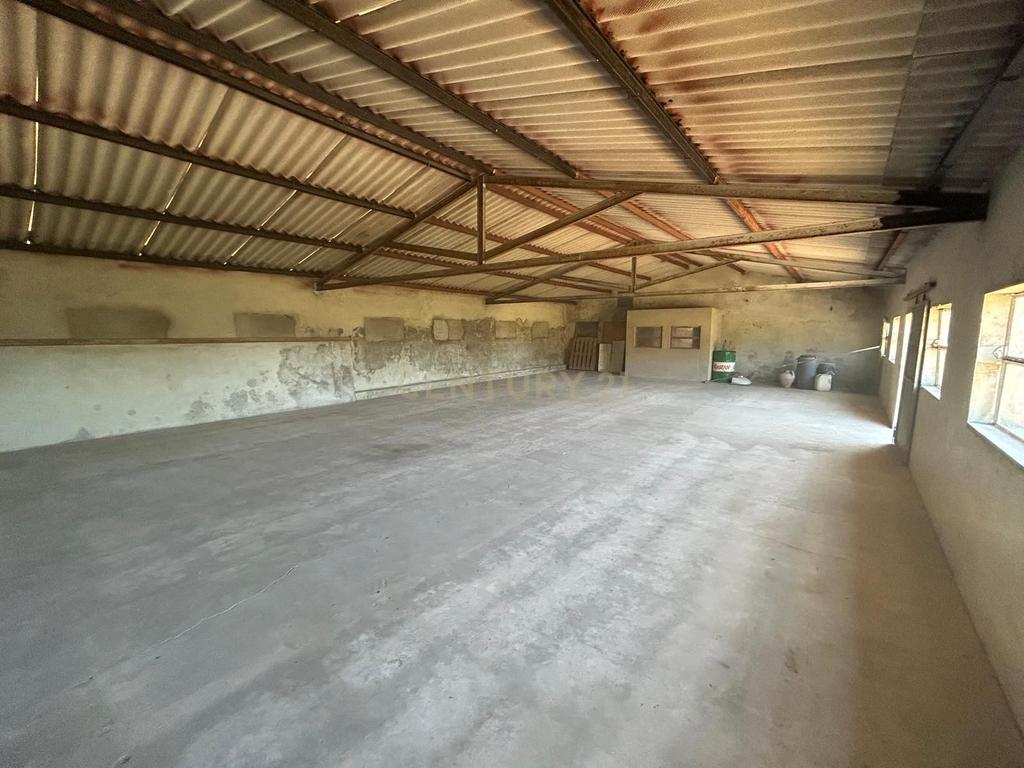 Terreno || Construção || Castanheira || Alcobaça - Image 3