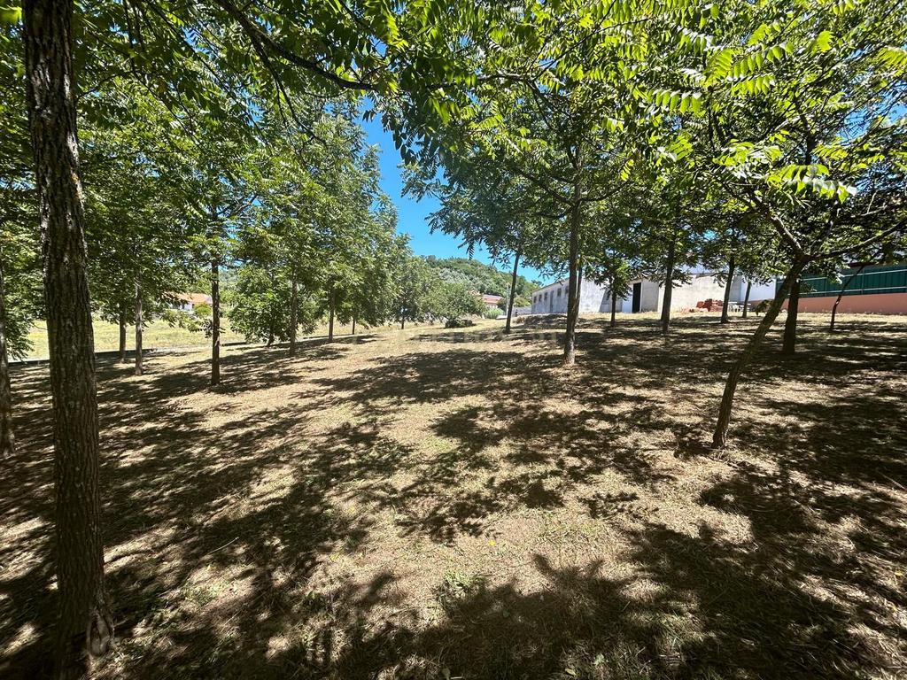 Terreno || Construção || Castanheira || Alcobaça - Image 23