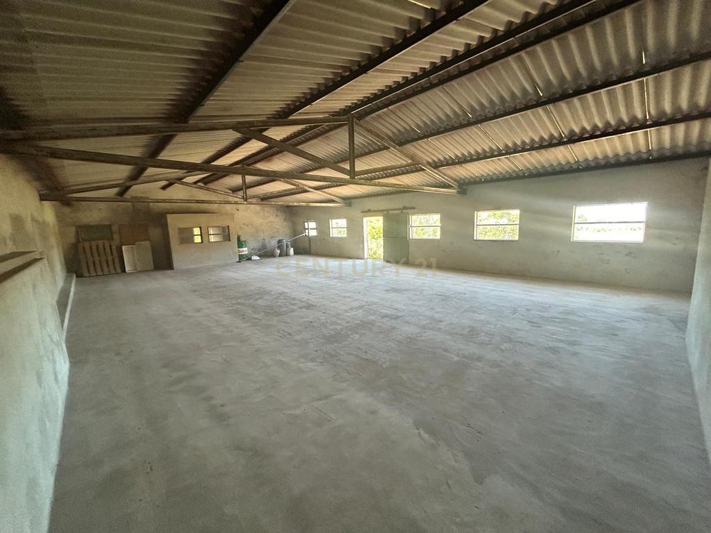 Terreno || Construção || Castanheira || Alcobaça - Image 15