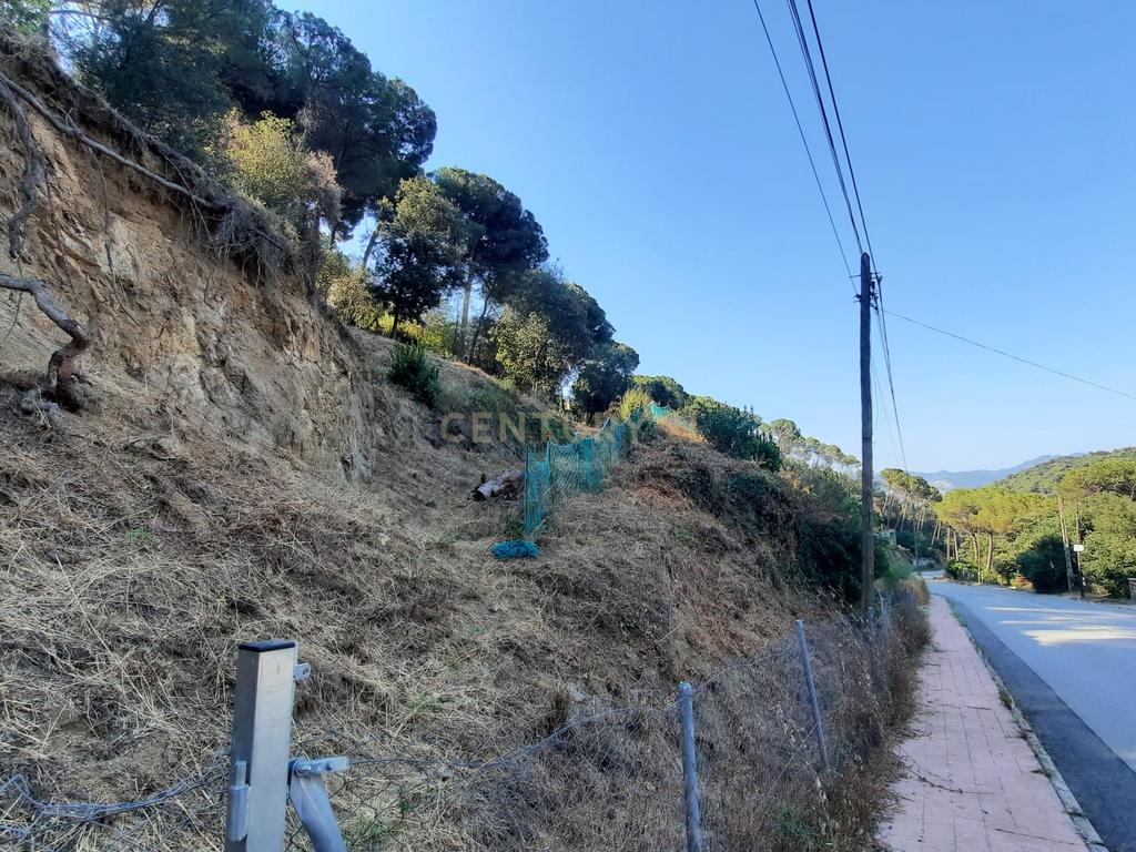 Terreno - Image 13