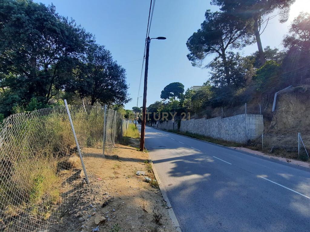Terreno - Image 11