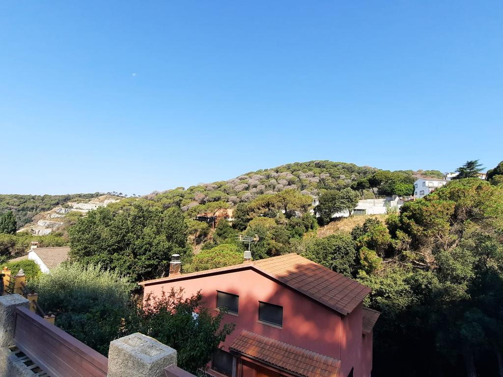 Terreno - Image 14