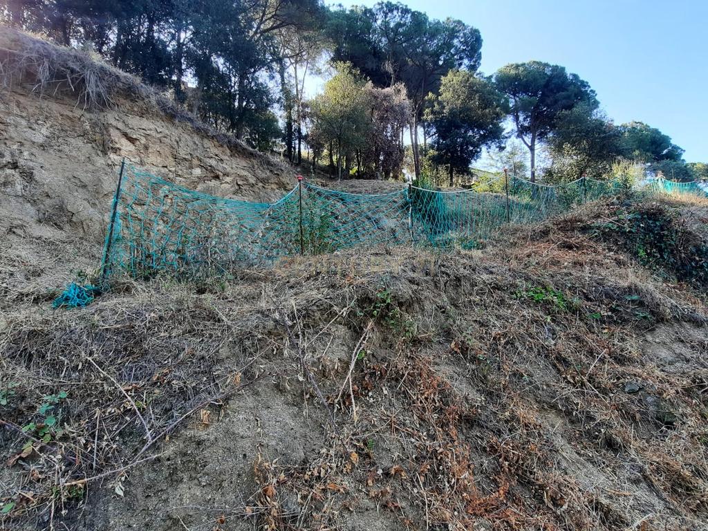 Terreno - Image 15