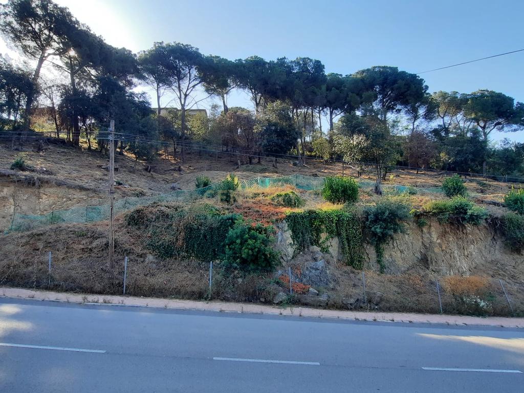 Terreno - Image 17
