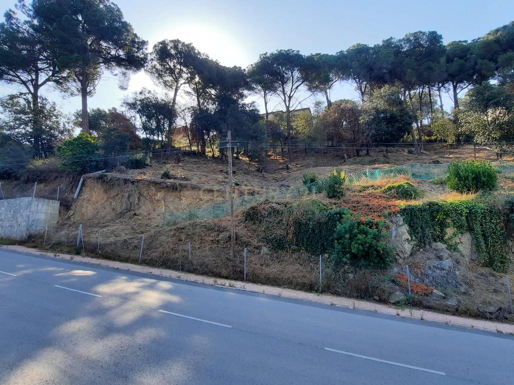 Terreno - Image 1