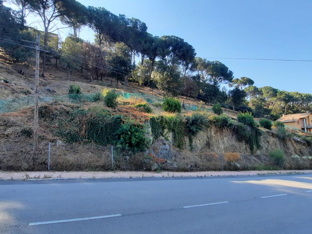 Terreno - Image 12