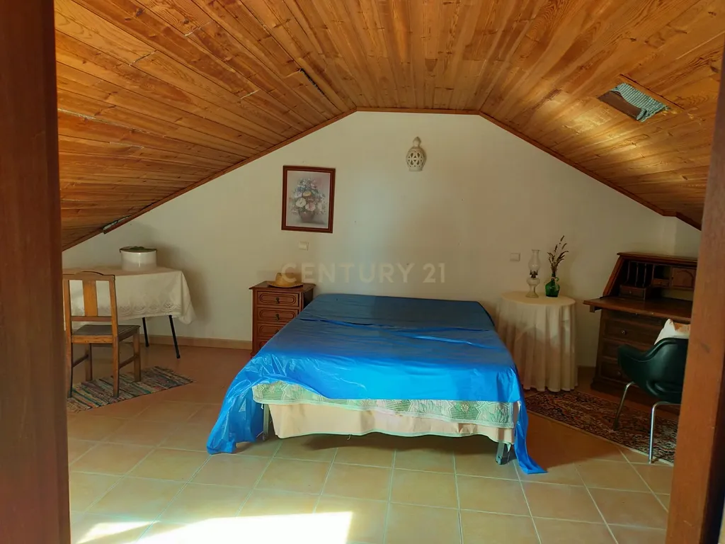 Terreno urbano em Melides com uma moradia e um anexo com 182,44m2 em 1.718m2 de terreno - um verdadeiro Oásis no campo e perto da praia - Image 13