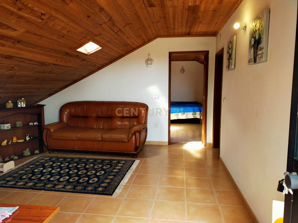 Terreno urbano em Melides com uma moradia e um anexo com 182,44m2 em 1.718m2 de terreno - um verdadeiro Oásis no campo e perto da praia - Image 12