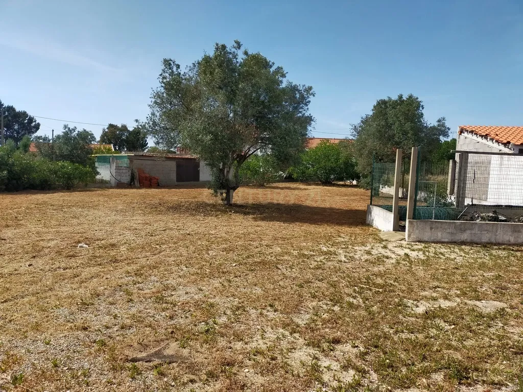 Terreno urbano em Melides com uma moradia e um anexo com 182,44m2 em 1.718m2 de terreno - um verdadeiro Oásis no campo e perto da praia - Image 16