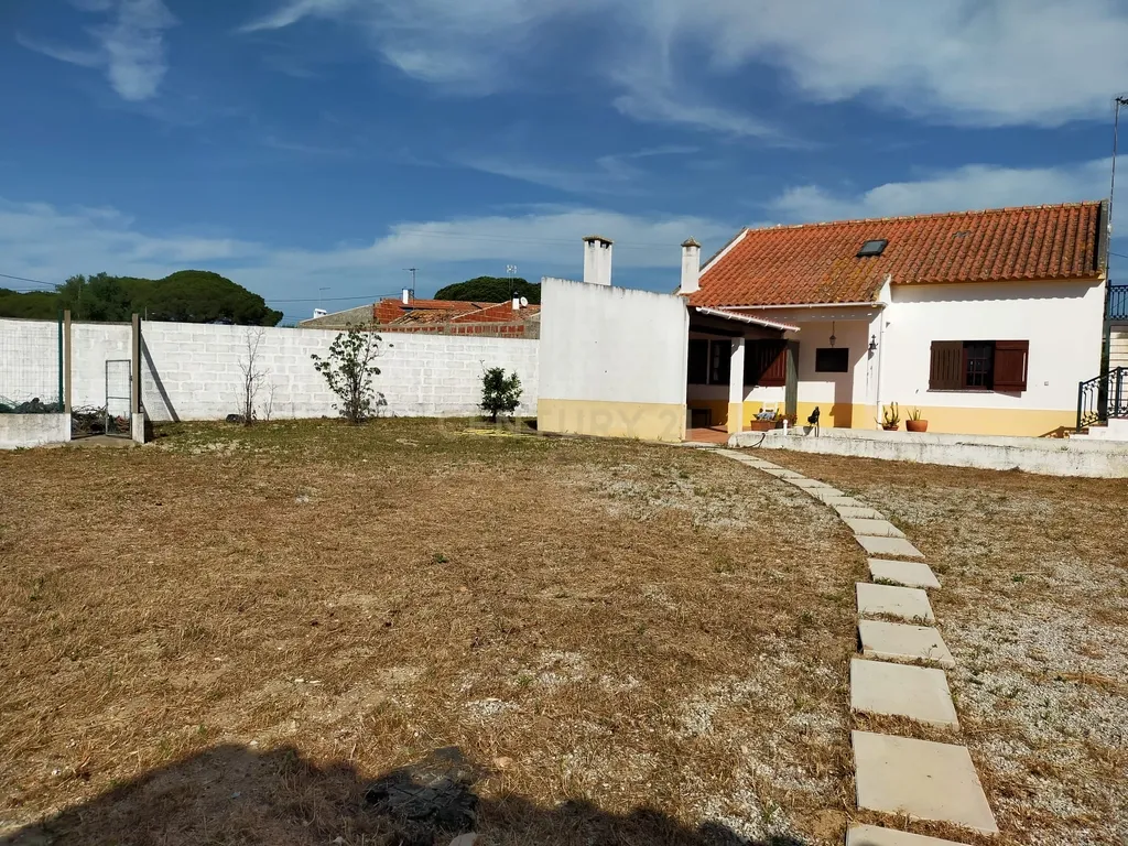 Terreno urbano em Melides com uma moradia e um anexo com 182,44m2 em 1.718m2 de terreno - um verdadeiro Oásis no campo e perto da praia - Image 19