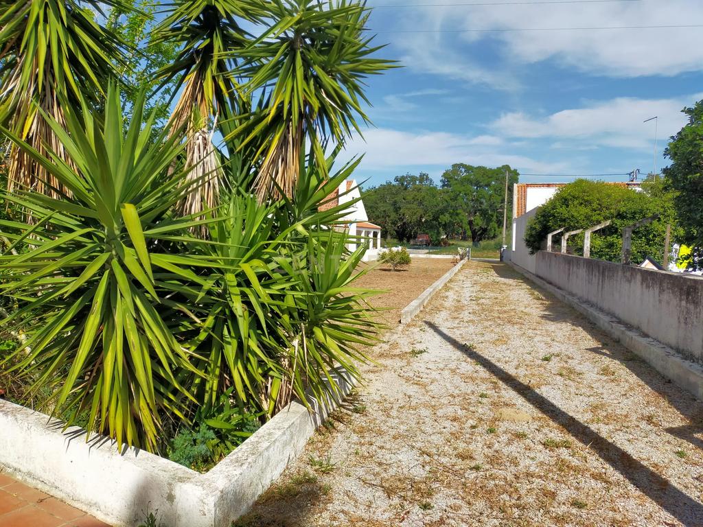 Terreno urbano em Melides com uma moradia e um anexo com 182,44m2 em 1.718m2 de terreno - um verdadeiro Oásis no campo e perto da praia - Image 21