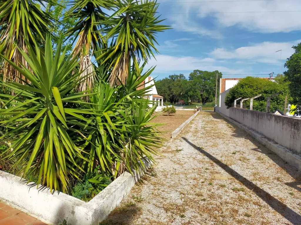 Terreno urbano em Melides com uma moradia e um anexo com 182,44m2 em 1.718m2 de terreno - um verdadeiro Oásis no campo e perto da praia - Image 21