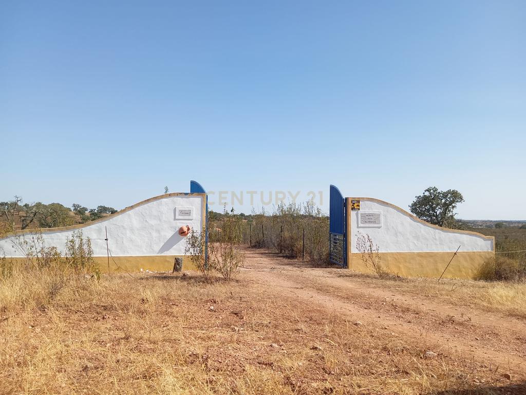 Monte em Serpa,  14 Hectares e moradia remodelada - Image 23