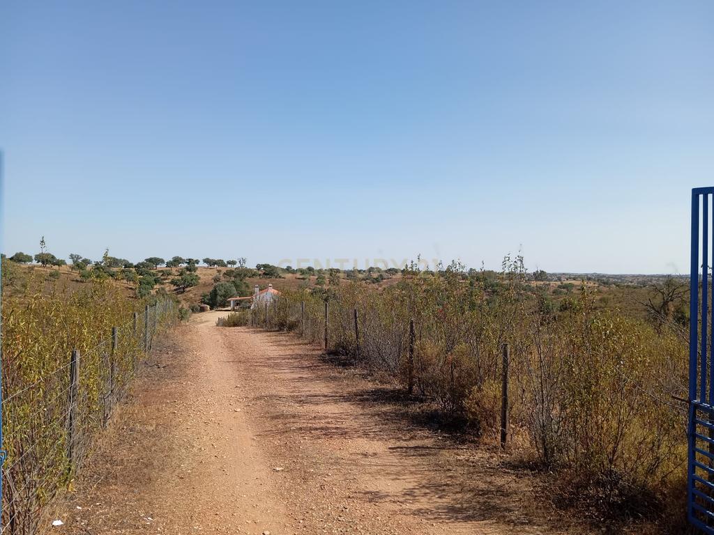 Monte em Serpa,  14 Hectares e moradia remodelada - Image 29