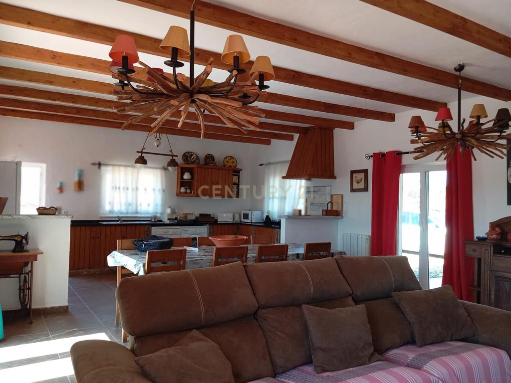 Monte em Serpa,  14 Hectares e moradia remodelada - Image 13