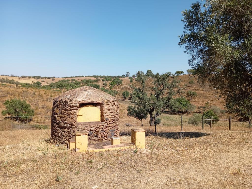 Monte em Serpa,  14 Hectares e moradia remodelada - Image 28