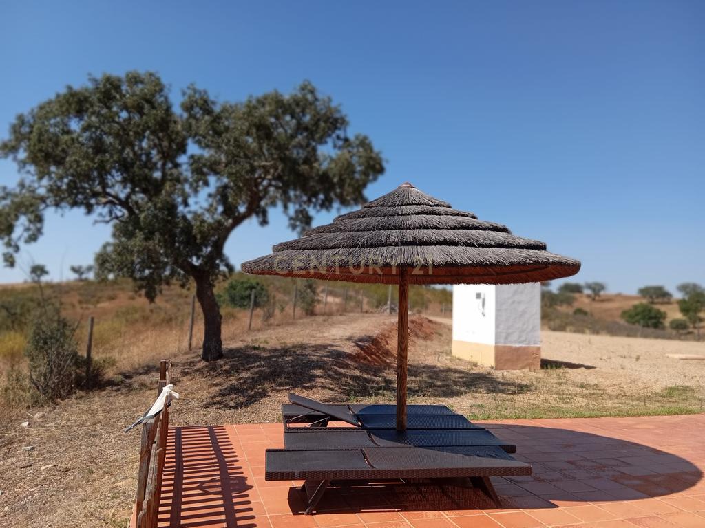 Monte em Serpa,  14 Hectares e moradia remodelada - Image 20