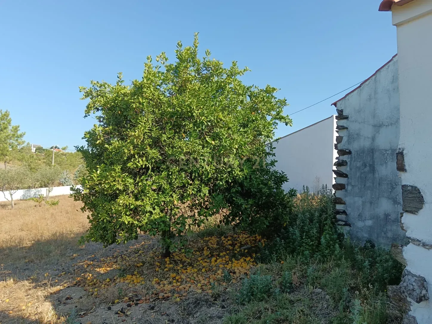 Moradia com terreno em Santo André das Tojeiras, Castelo Branco - Image 24