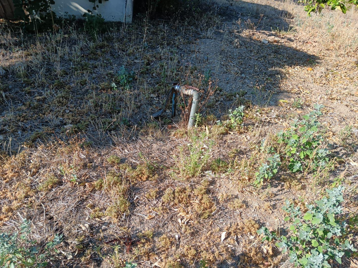 Moradia com terreno em Santo André das Tojeiras, Castelo Branco - Image 23