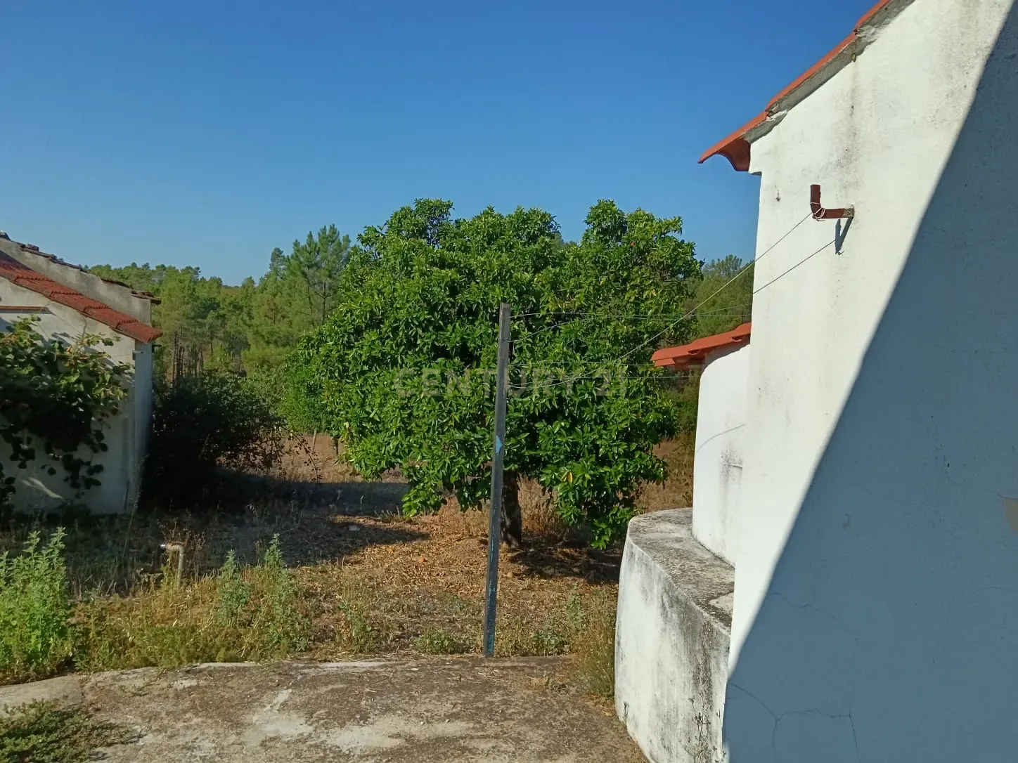 Moradia com terreno em Santo André das Tojeiras, Castelo Branco - Image 21
