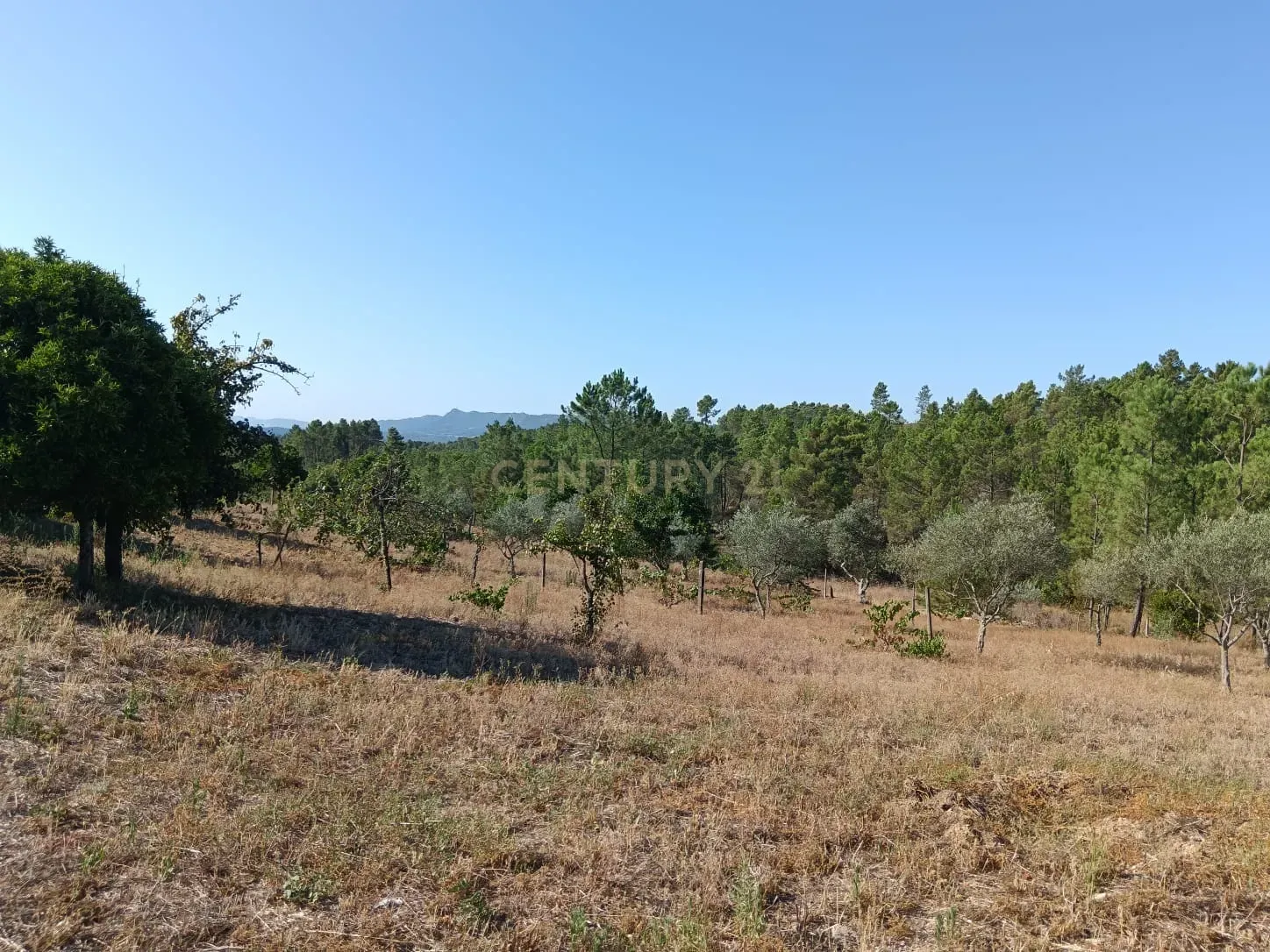 Moradia com terreno em Santo André das Tojeiras, Castelo Branco - Image 27