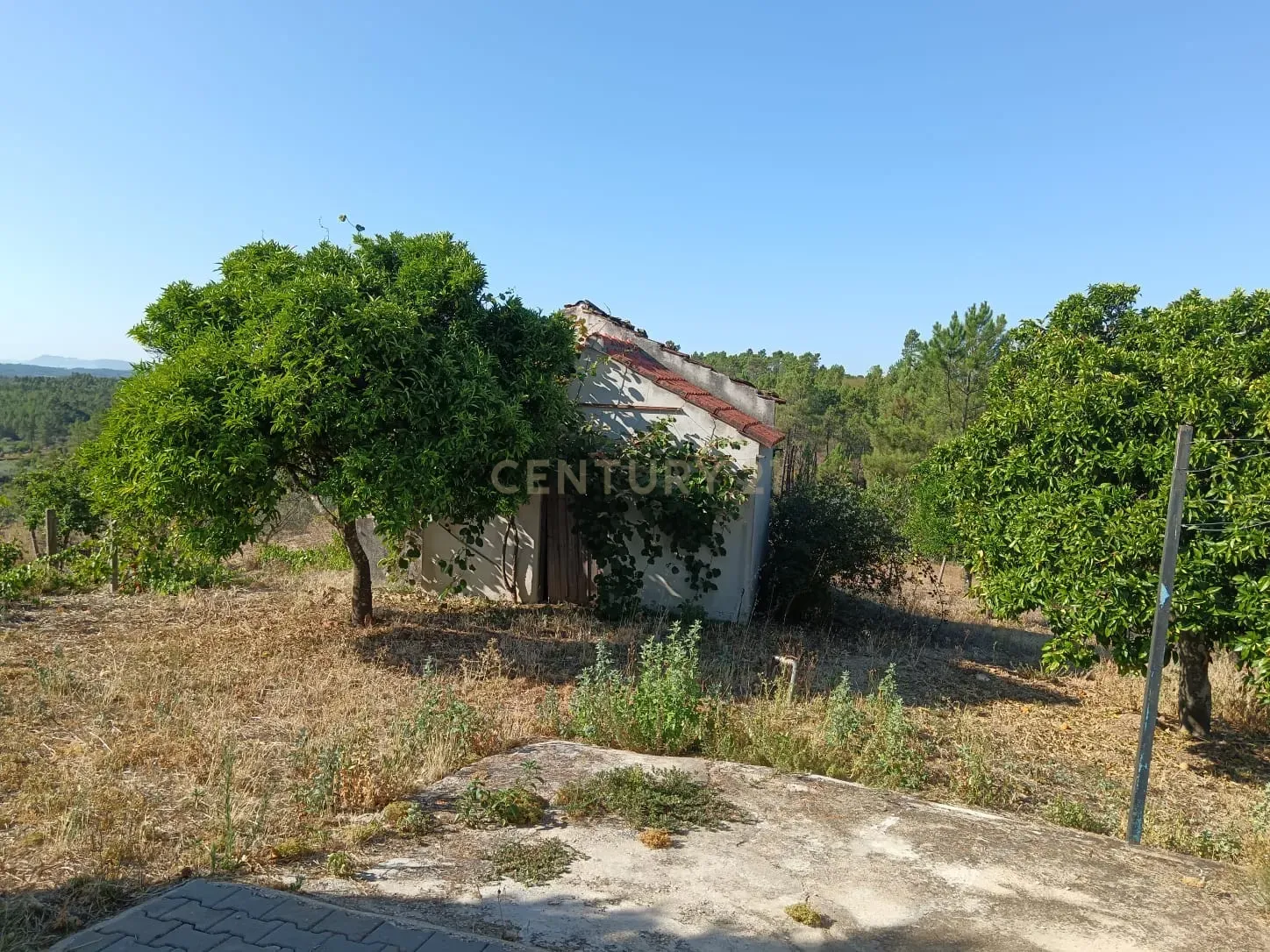 Moradia com terreno em Santo André das Tojeiras, Castelo Branco - Image 22