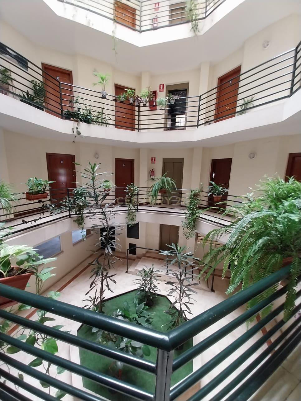 Apartamento - Image 7