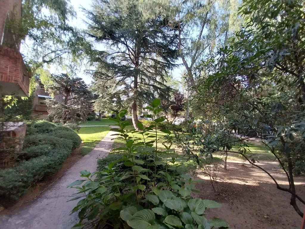 Apartamento - Image 2