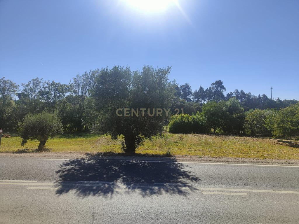 Terreno Chancelaria, Torres Novas - 12.680 m² - Image 5