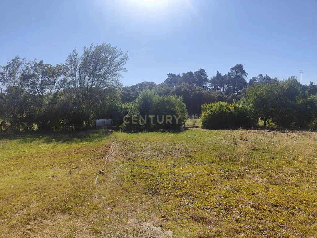Terreno Chancelaria, Torres Novas - 12.680 m² - Image 13