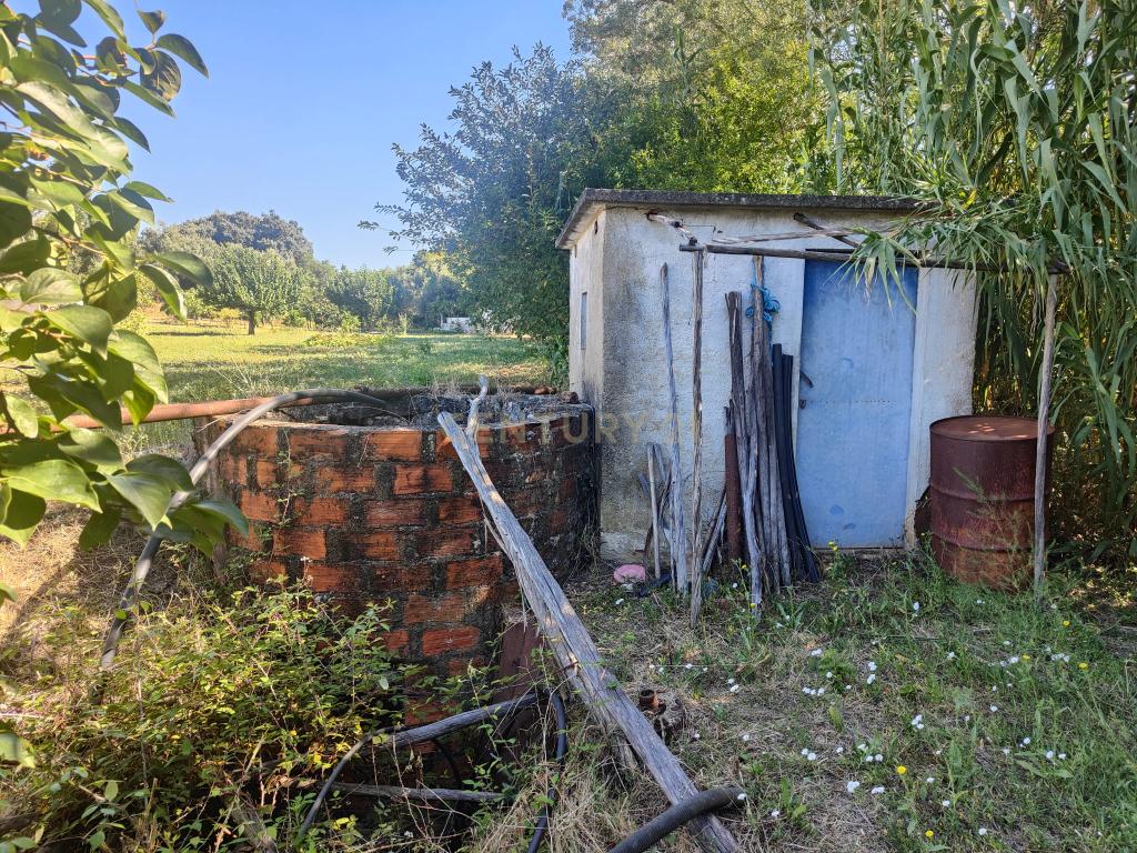 Terreno Chancelaria, Torres Novas - 12.680 m² - Image 4
