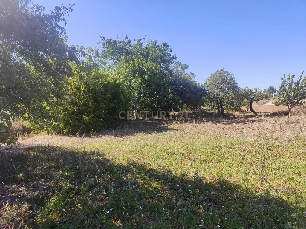 Terreno Chancelaria, Torres Novas - 12.680 m² - Image 11