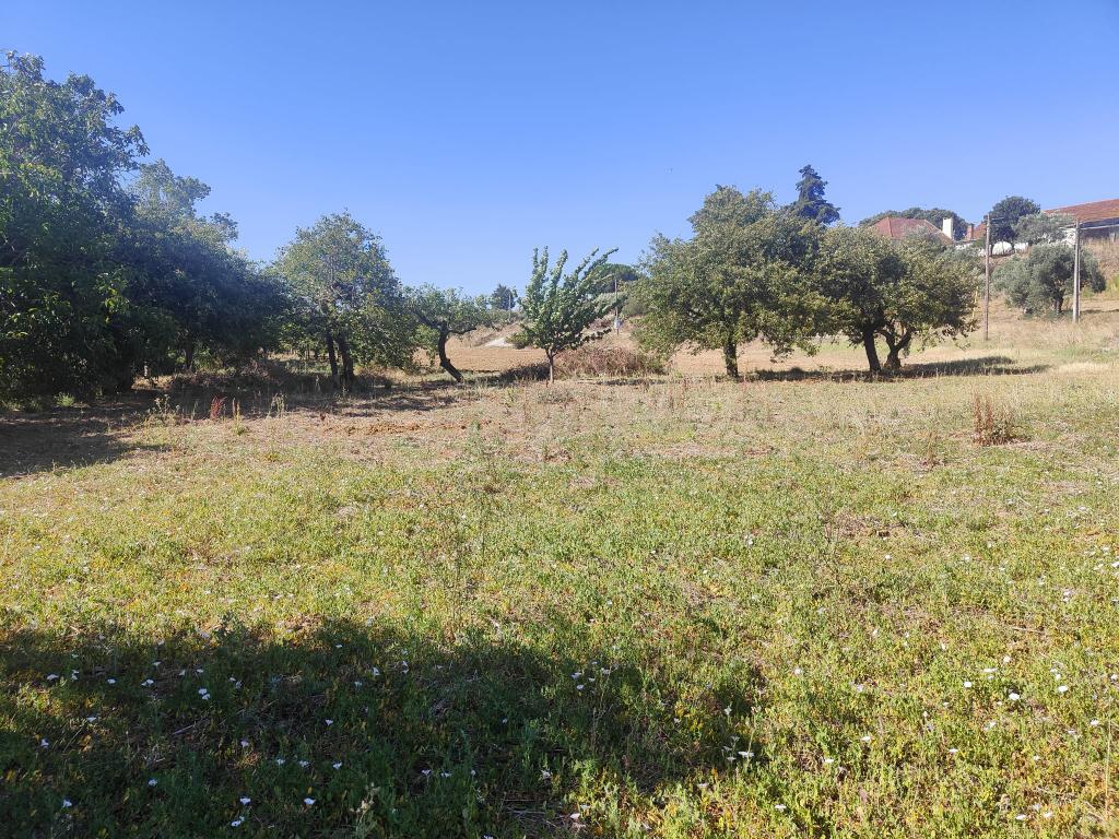 Terreno Chancelaria, Torres Novas - 12.680 m² - Image 7