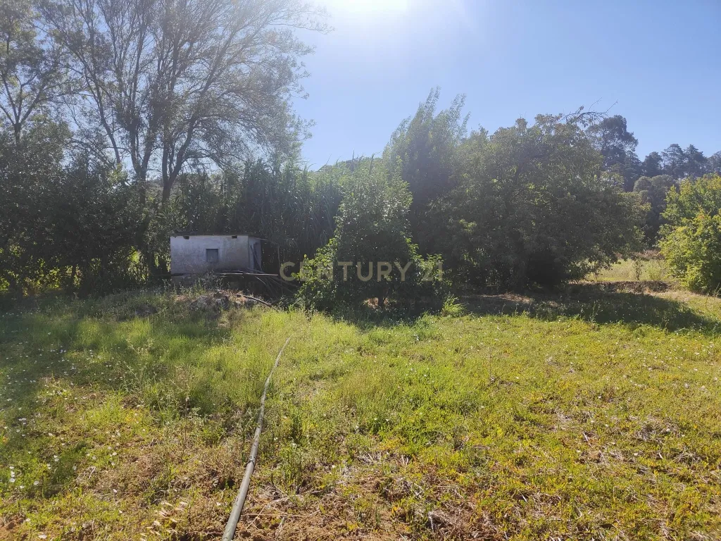 Terreno Chancelaria, Torres Novas - 12.680 m² - Image 9