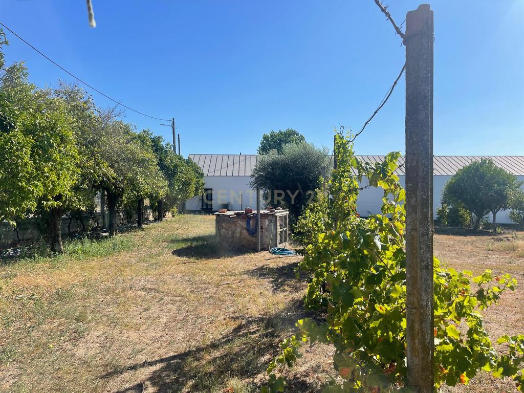 Quinta para venda na Atalaia, Vila Nova da Barquinha - Image 46