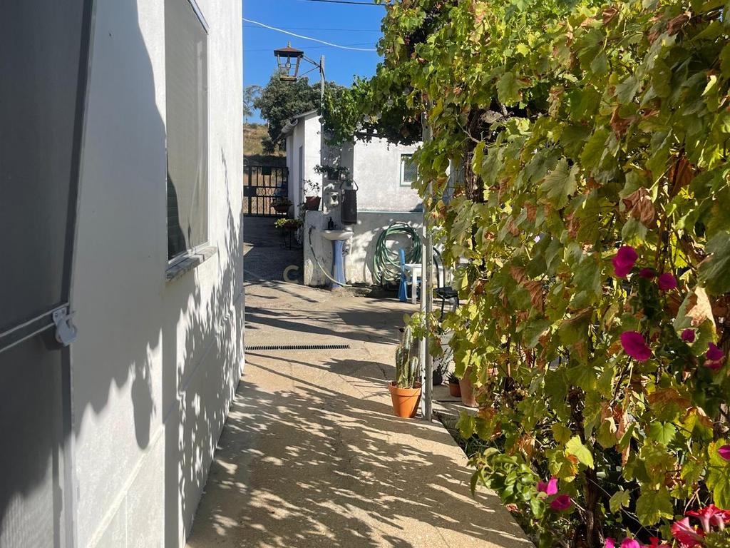 Quinta para venda na Atalaia, Vila Nova da Barquinha - Image 4