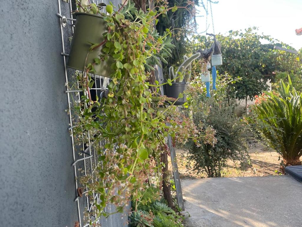 Quinta para venda na Atalaia, Vila Nova da Barquinha - Image 8