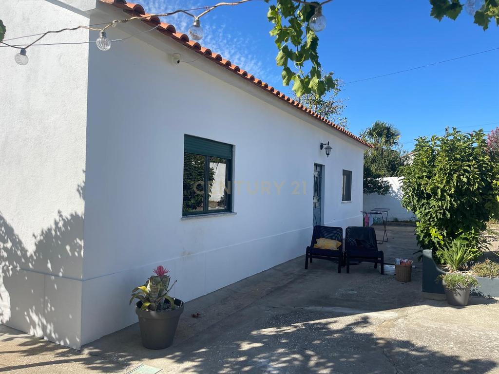 Quinta para venda na Atalaia, Vila Nova da Barquinha - Image 3
