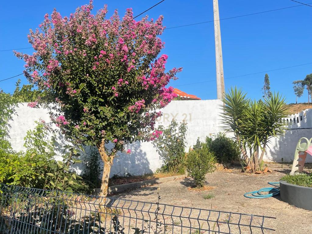 Quinta para venda na Atalaia, Vila Nova da Barquinha - Image 13