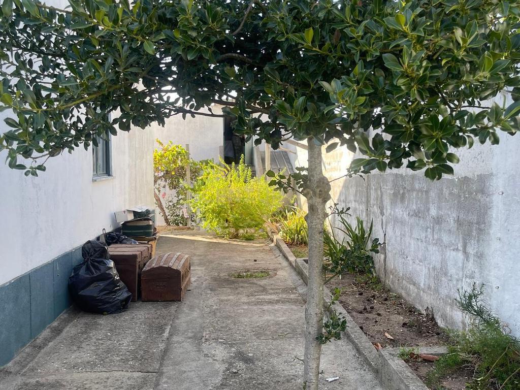 Quinta para venda na Atalaia, Vila Nova da Barquinha - Image 34