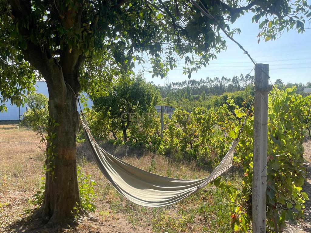 Quinta para venda na Atalaia, Vila Nova da Barquinha - Image 11