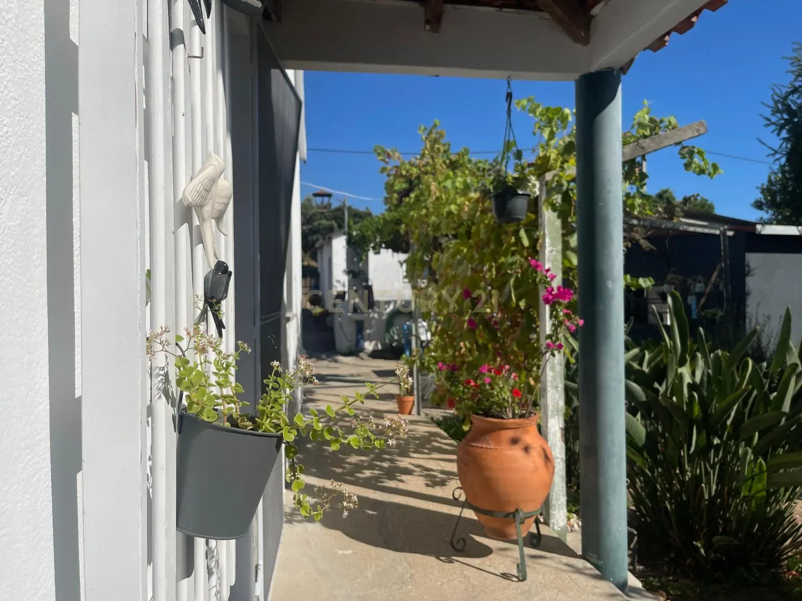 Quinta para venda na Atalaia, Vila Nova da Barquinha - Image 5