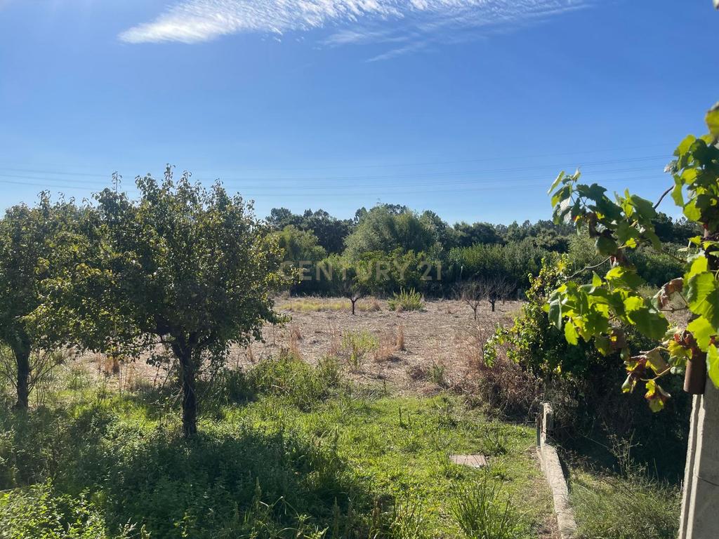 Quinta para venda na Atalaia, Vila Nova da Barquinha - Image 38