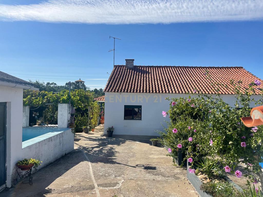 Quinta para venda na Atalaia, Vila Nova da Barquinha - Image 2