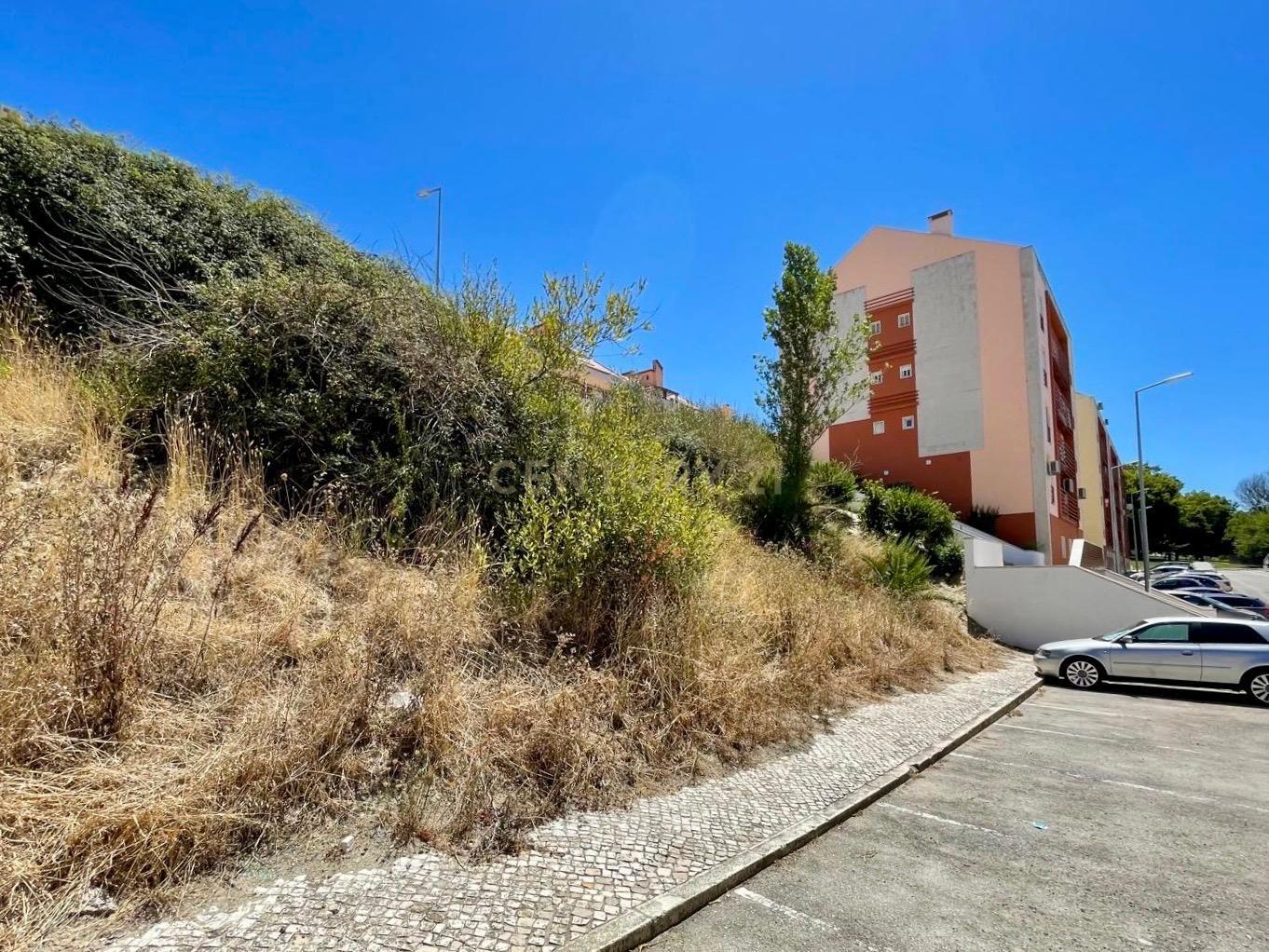 Terreno Moita - Image 13